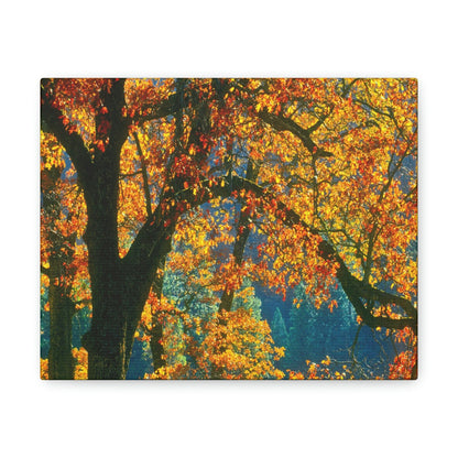 Canvas Gallery Wraps - The US National Parks - Yosemite Park in autumn - California - USA NPS - Green Forest Home