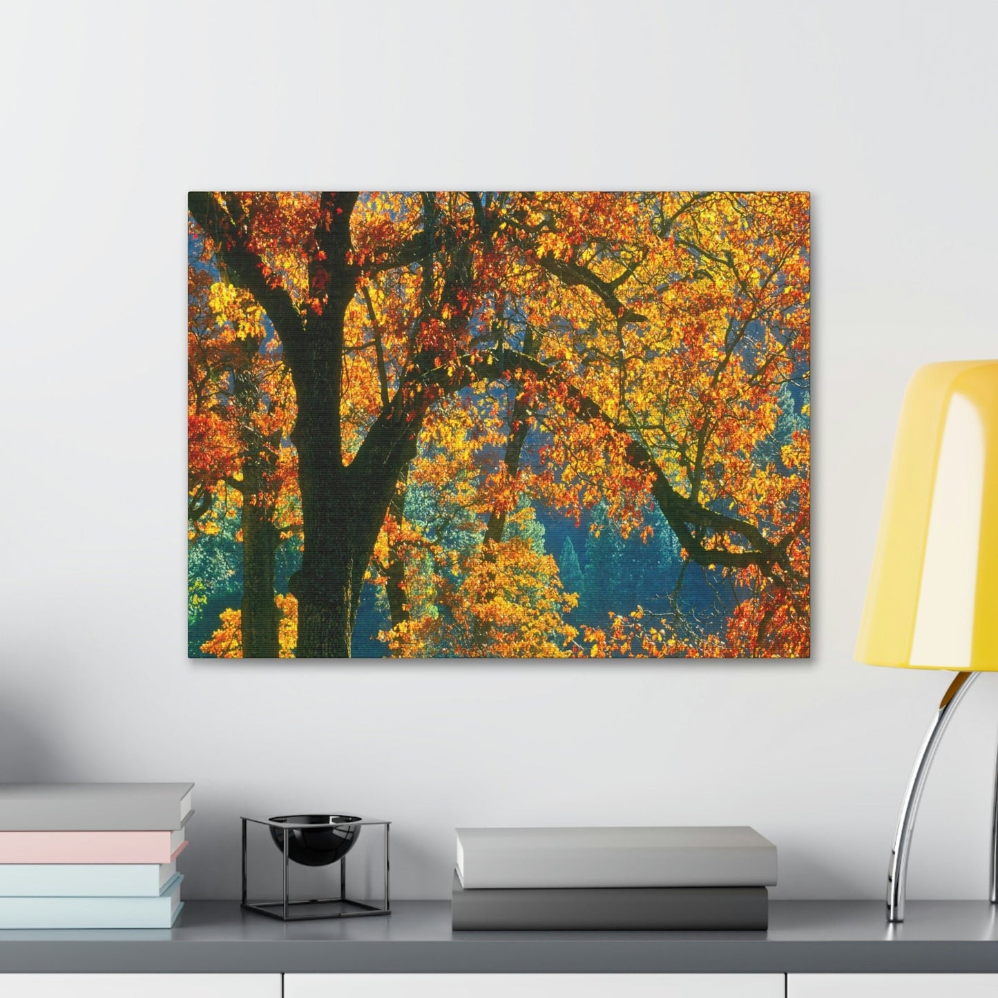 Canvas Gallery Wraps - The US National Parks - Yosemite Park in autumn - California - USA NPS - Green Forest Home