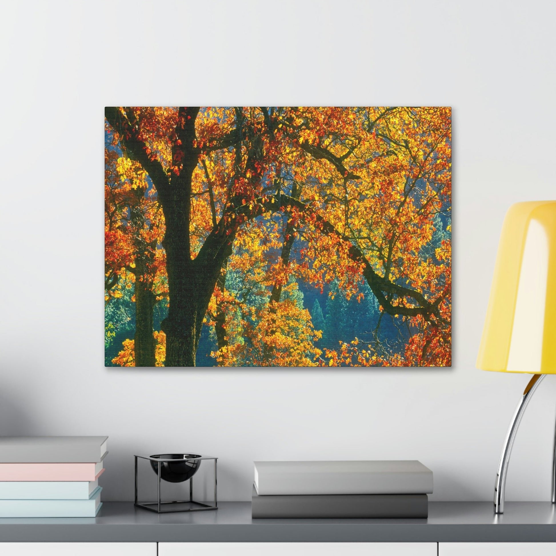 Canvas Gallery Wraps - The US National Parks - Yosemite Park in autumn - California - USA NPS - Green Forest Home