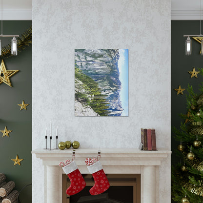 Canvas Gallery Wraps - The US National Parks - Yosemite Park Panorama- California - USA NPS - Green Forest Home