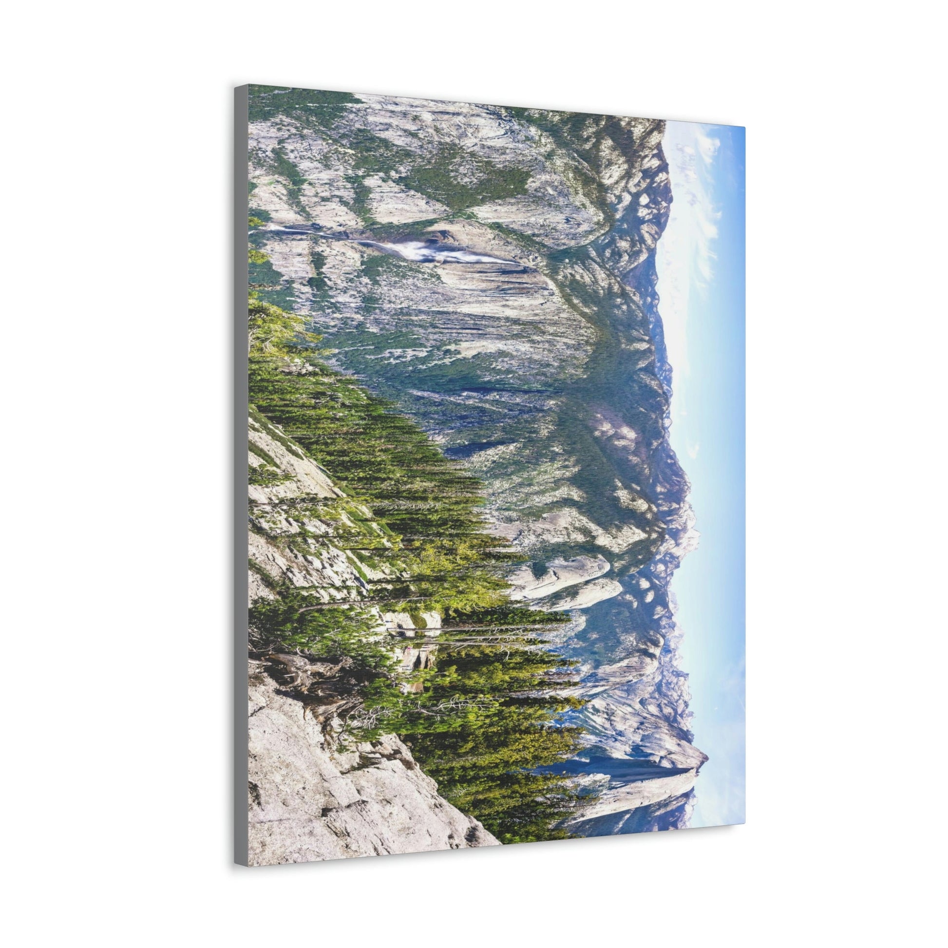 Canvas Gallery Wraps - The US National Parks - Yosemite Park Panorama- California - USA NPS - Green Forest Home