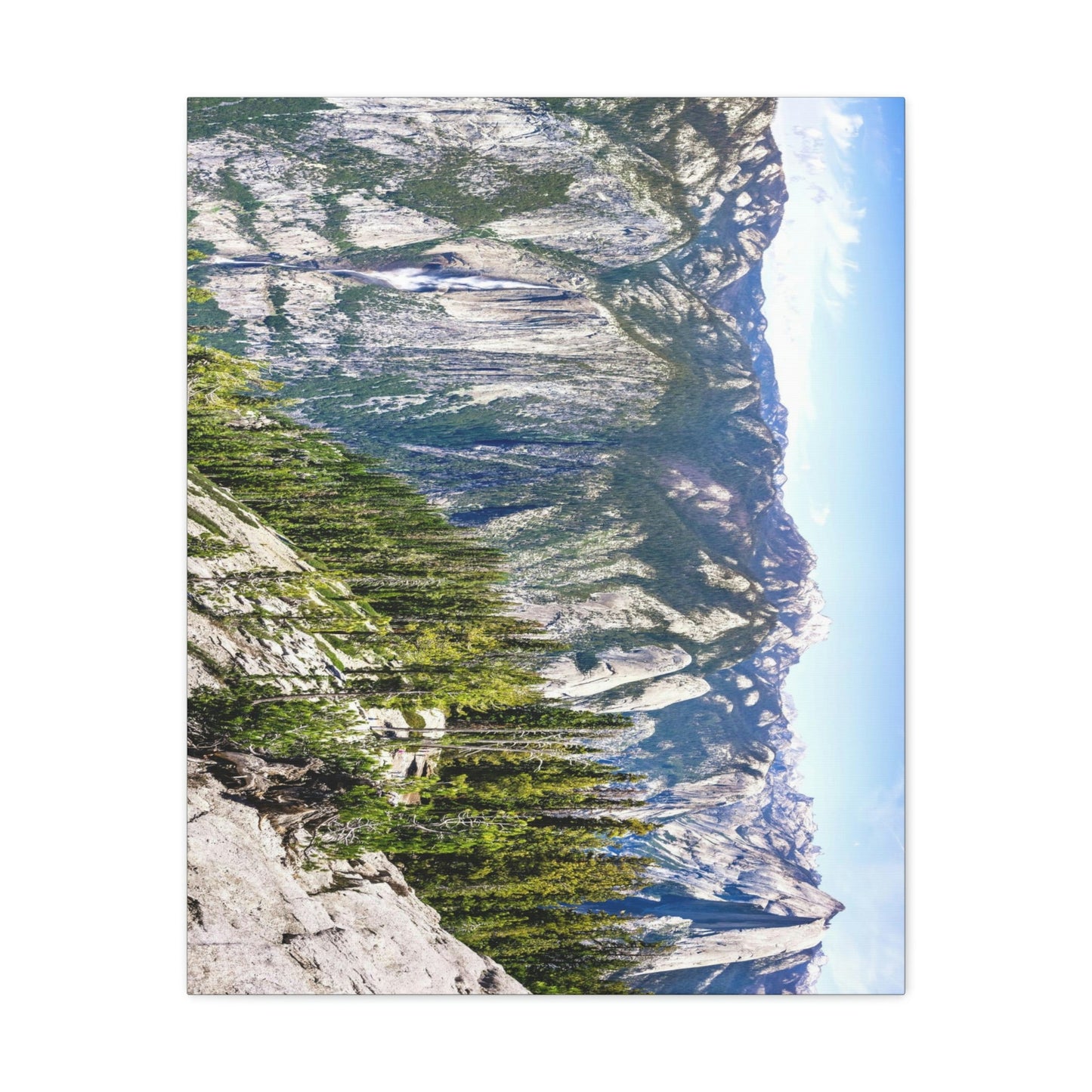 Canvas Gallery Wraps - The US National Parks - Yosemite Park Panorama- California - USA NPS - Green Forest Home