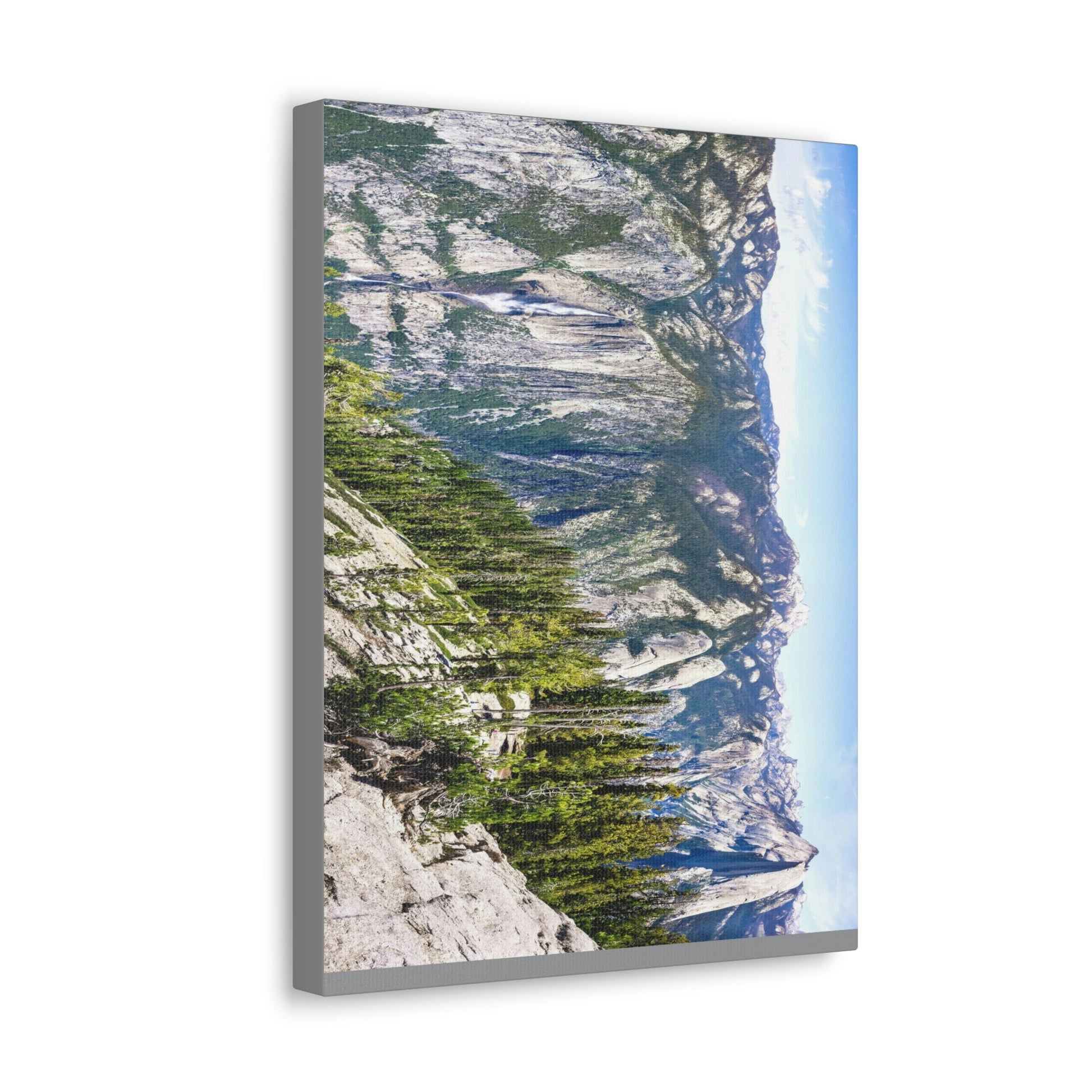 Canvas Gallery Wraps - The US National Parks - Yosemite Park Panorama- California - USA NPS - Green Forest Home
