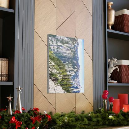 Canvas Gallery Wraps - The US National Parks - Yosemite Park Panorama- California - USA NPS - Green Forest Home