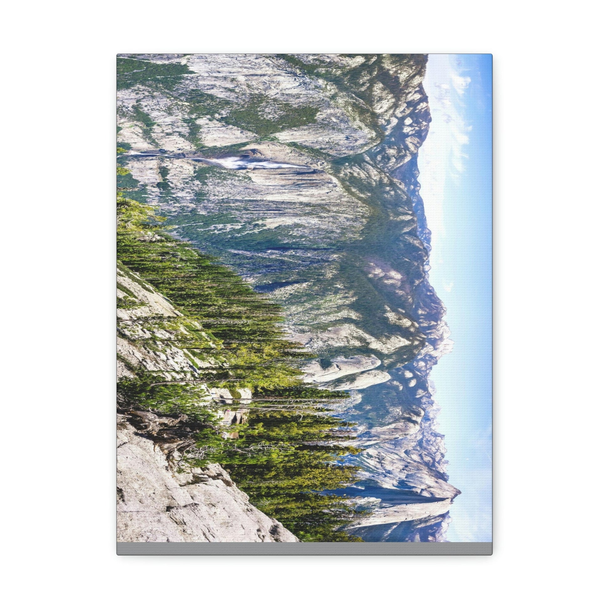 Canvas Gallery Wraps - The US National Parks - Yosemite Park Panorama- California - USA NPS - Green Forest Home