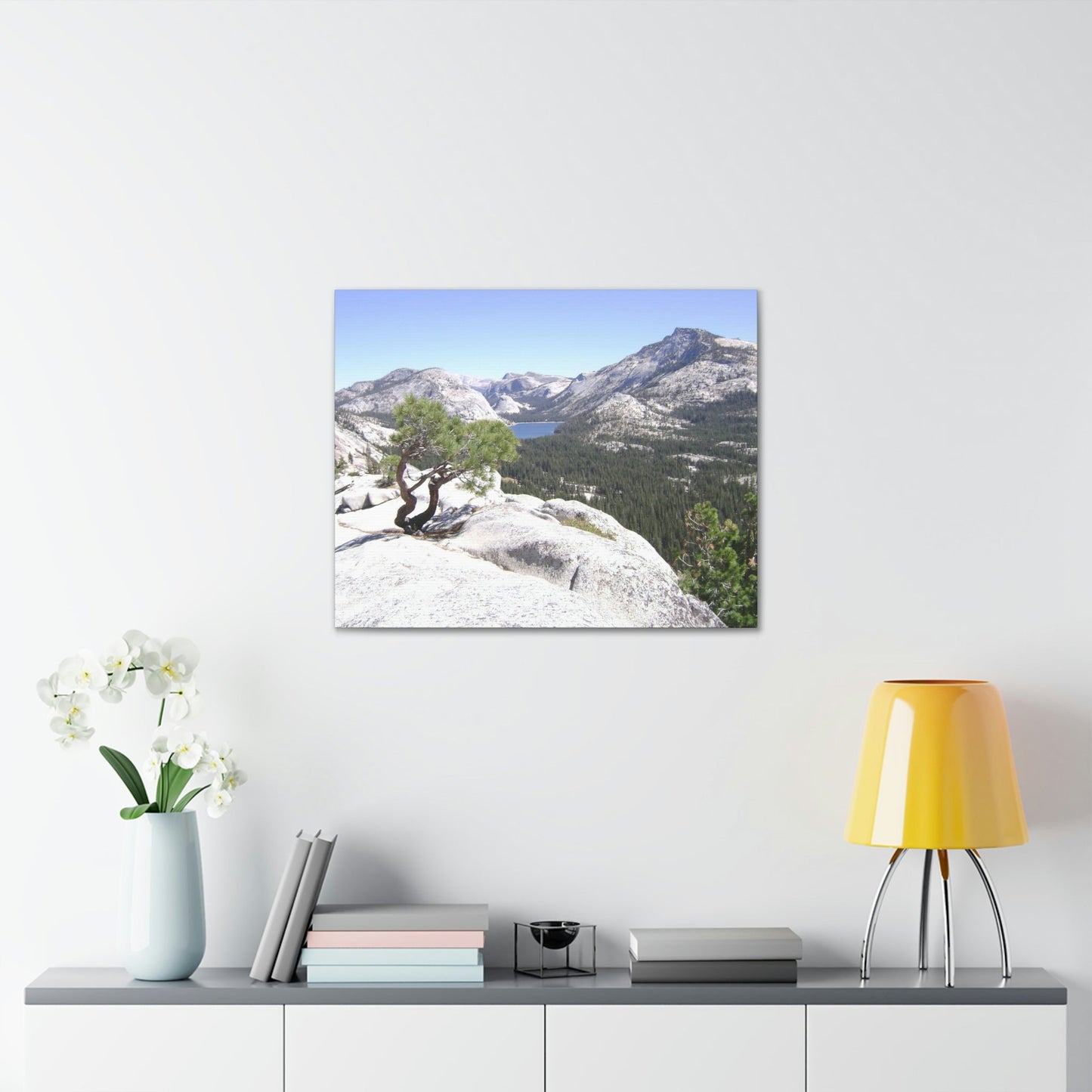 Canvas Gallery Wraps - The US National Parks - Yosemite Park peaks next to Tuolmne Meadows - California - USA NPS - Green Forest Home