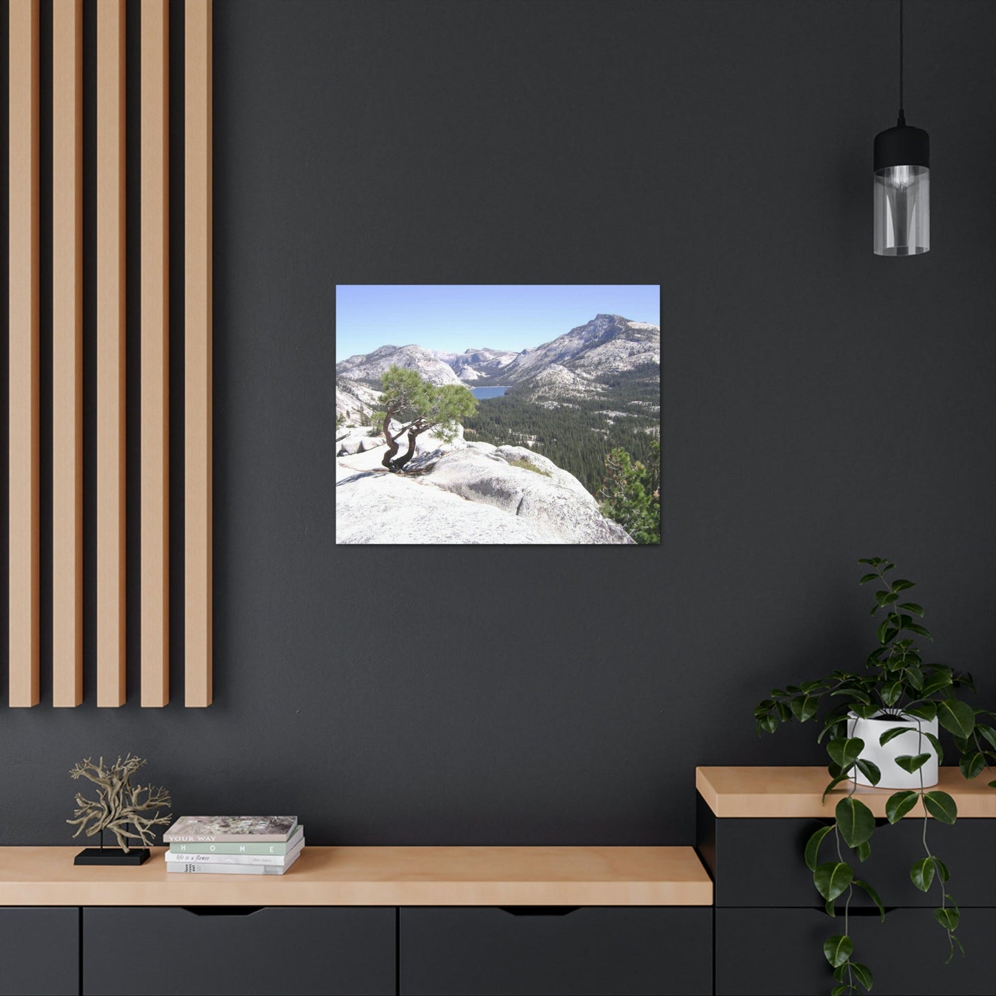 Canvas Gallery Wraps - The US National Parks - Yosemite Park peaks next to Tuolmne Meadows - California - USA NPS - Green Forest Home