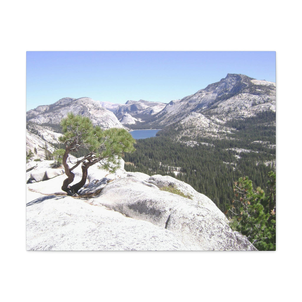 Canvas Gallery Wraps - The US National Parks - Yosemite Park peaks next to Tuolmne Meadows - California - USA NPS - Green Forest Home