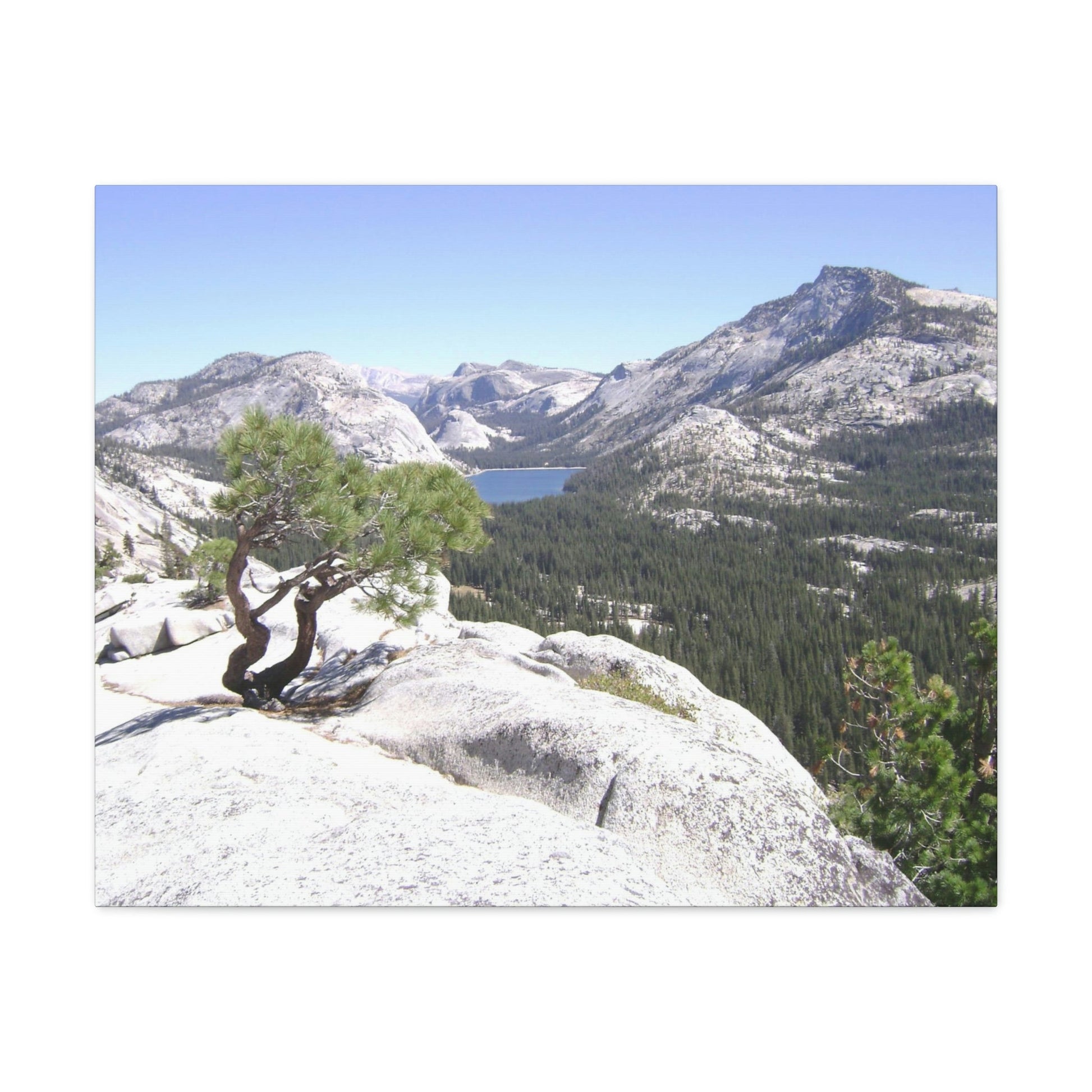 Canvas Gallery Wraps - The US National Parks - Yosemite Park peaks next to Tuolmne Meadows - California - USA NPS - Green Forest Home