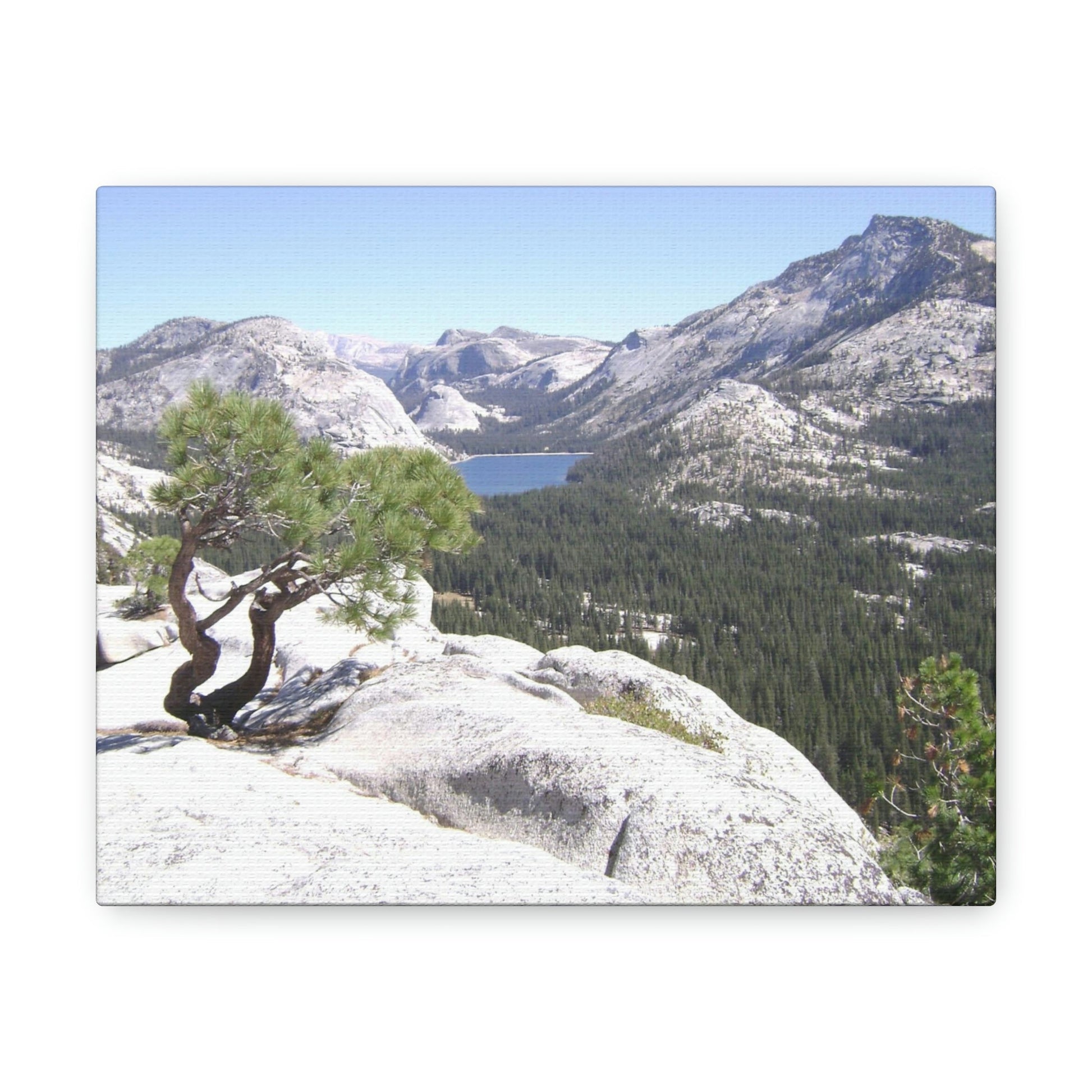 Canvas Gallery Wraps - The US National Parks - Yosemite Park peaks next to Tuolmne Meadows - California - USA NPS - Green Forest Home