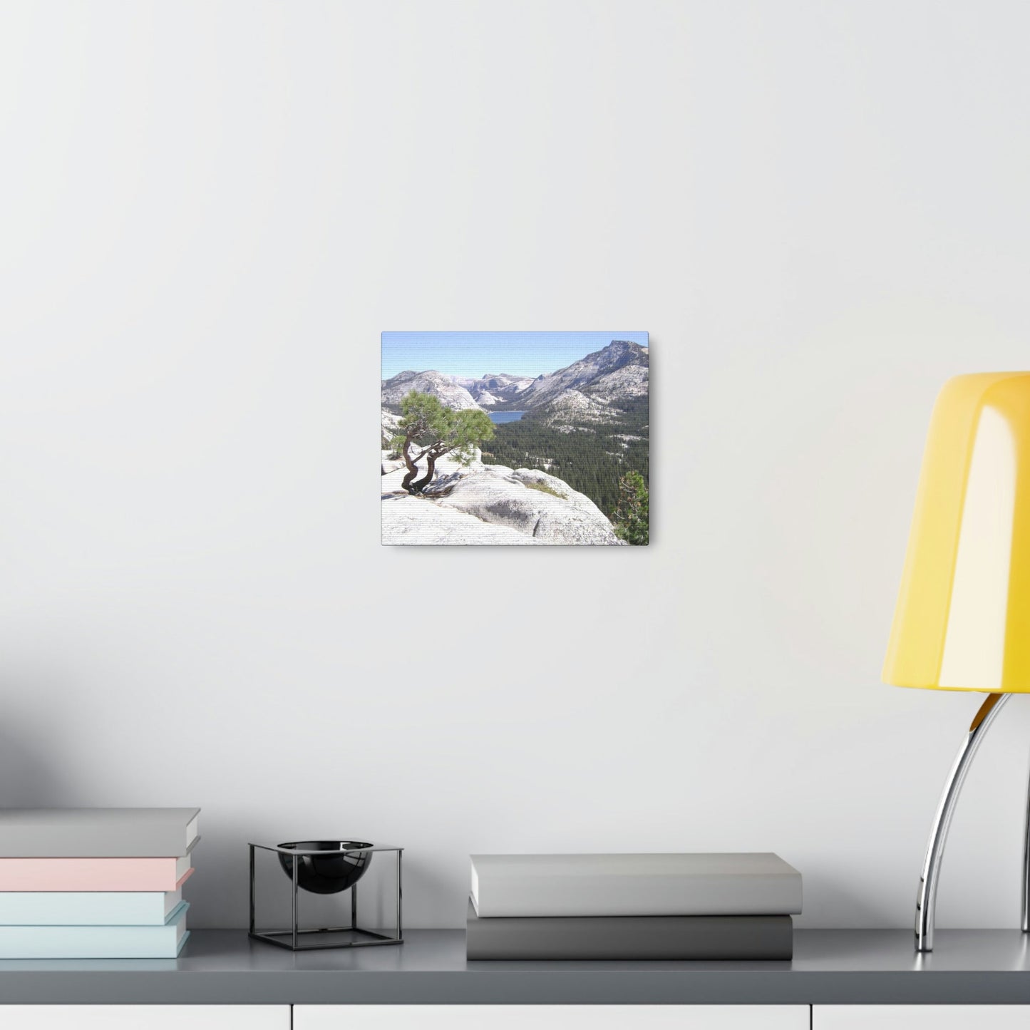 Canvas Gallery Wraps - The US National Parks - Yosemite Park peaks next to Tuolmne Meadows - California - USA NPS - Green Forest Home