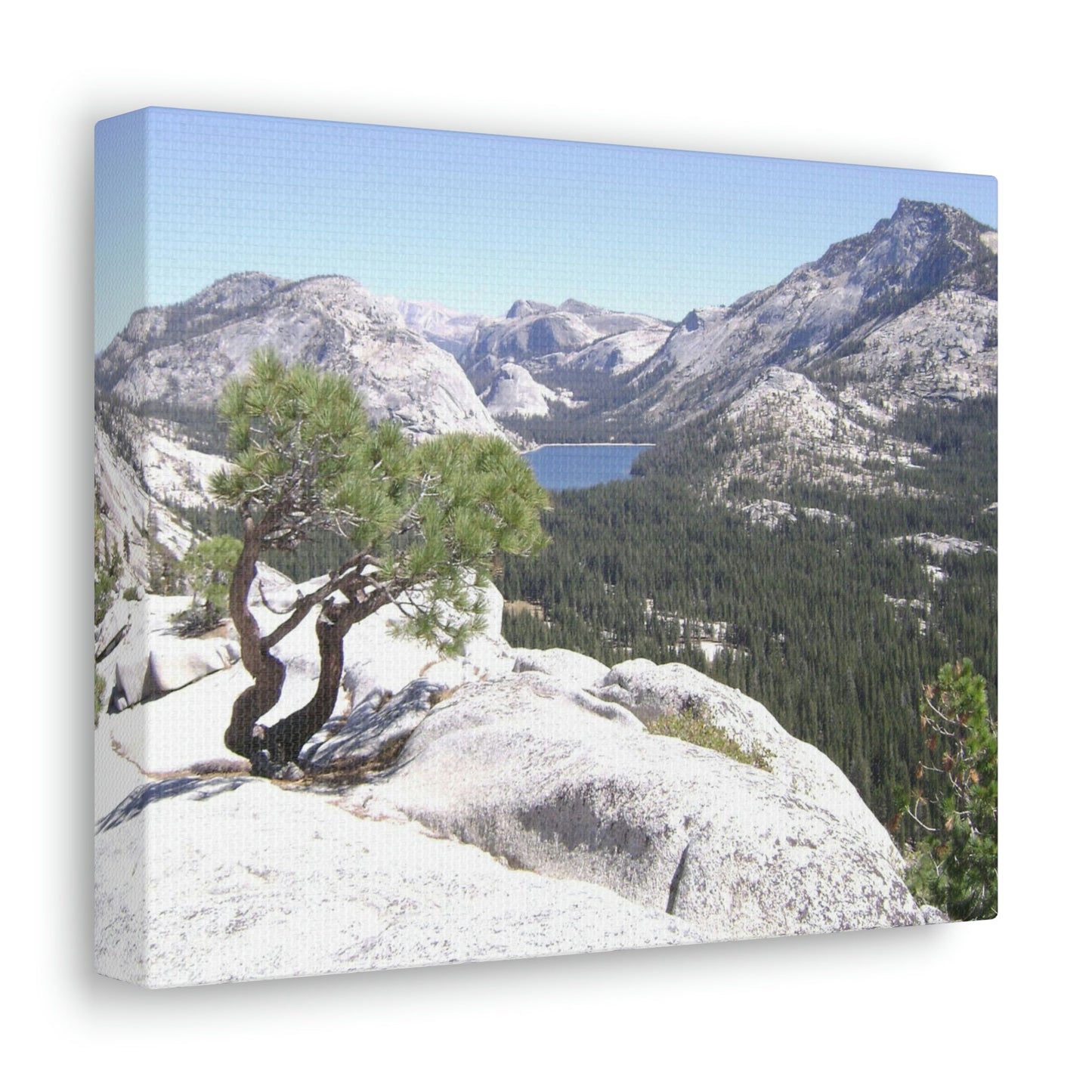 Canvas Gallery Wraps - The US National Parks - Yosemite Park peaks next to Tuolmne Meadows - California - USA NPS - Green Forest Home