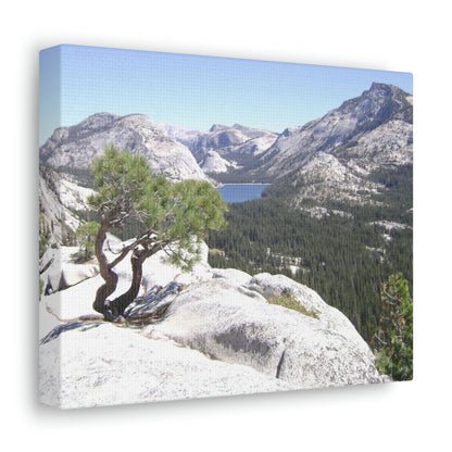Canvas Gallery Wraps - The US National Parks - Yosemite Park peaks next to Tuolmne Meadows - California - USA NPS - Green Forest Home