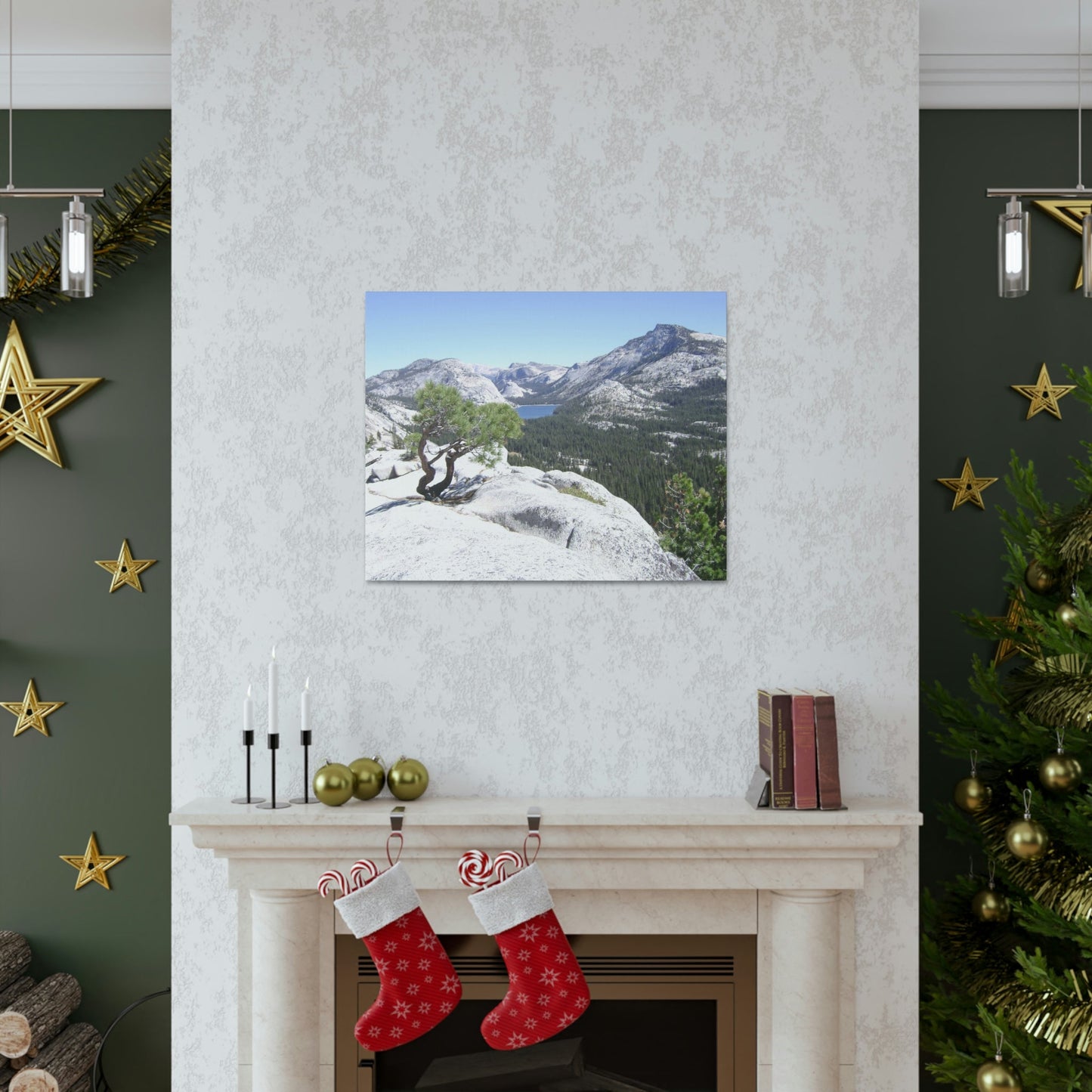 Canvas Gallery Wraps - The US National Parks - Yosemite Park peaks next to Tuolmne Meadows - California - USA NPS - Green Forest Home