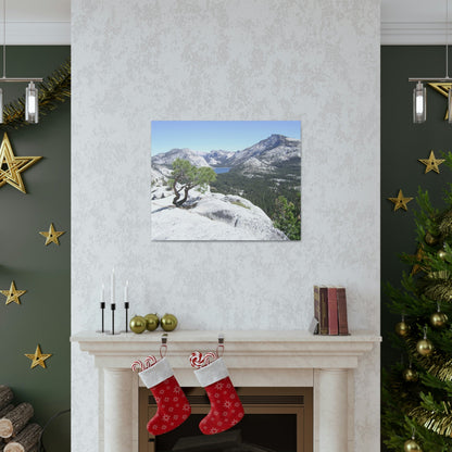 Canvas Gallery Wraps - The US National Parks - Yosemite Park peaks next to Tuolmne Meadows - California - USA NPS - Green Forest Home