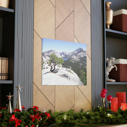 Canvas Gallery Wraps - The US National Parks - Yosemite Park peaks next to Tuolmne Meadows - California - USA NPS - Green Forest Home