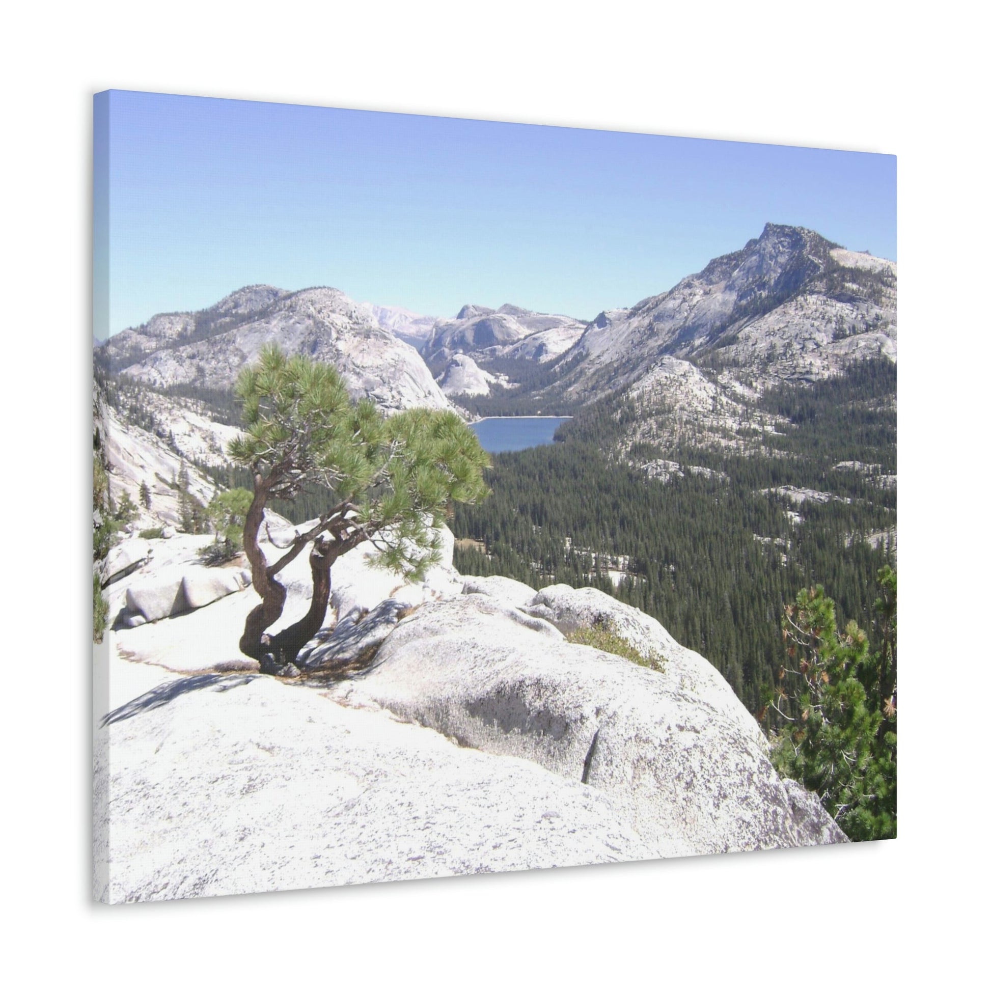 Canvas Gallery Wraps - The US National Parks - Yosemite Park peaks next to Tuolmne Meadows - California - USA NPS - Green Forest Home