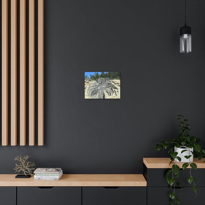 Canvas Gallery Wraps - The US National Parks - Yosemite Park Taft Point fissures - California - USA NPS - Green Forest Home