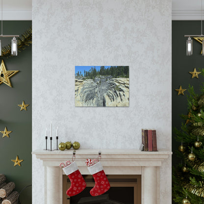 Canvas Gallery Wraps - The US National Parks - Yosemite Park Taft Point fissures - California - USA NPS - Green Forest Home
