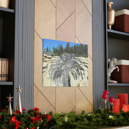 Canvas Gallery Wraps - The US National Parks - Yosemite Park Taft Point fissures - California - USA NPS - Green Forest Home