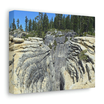 Canvas Gallery Wraps - The US National Parks - Yosemite Park Taft Point fissures - California - USA NPS - Green Forest Home