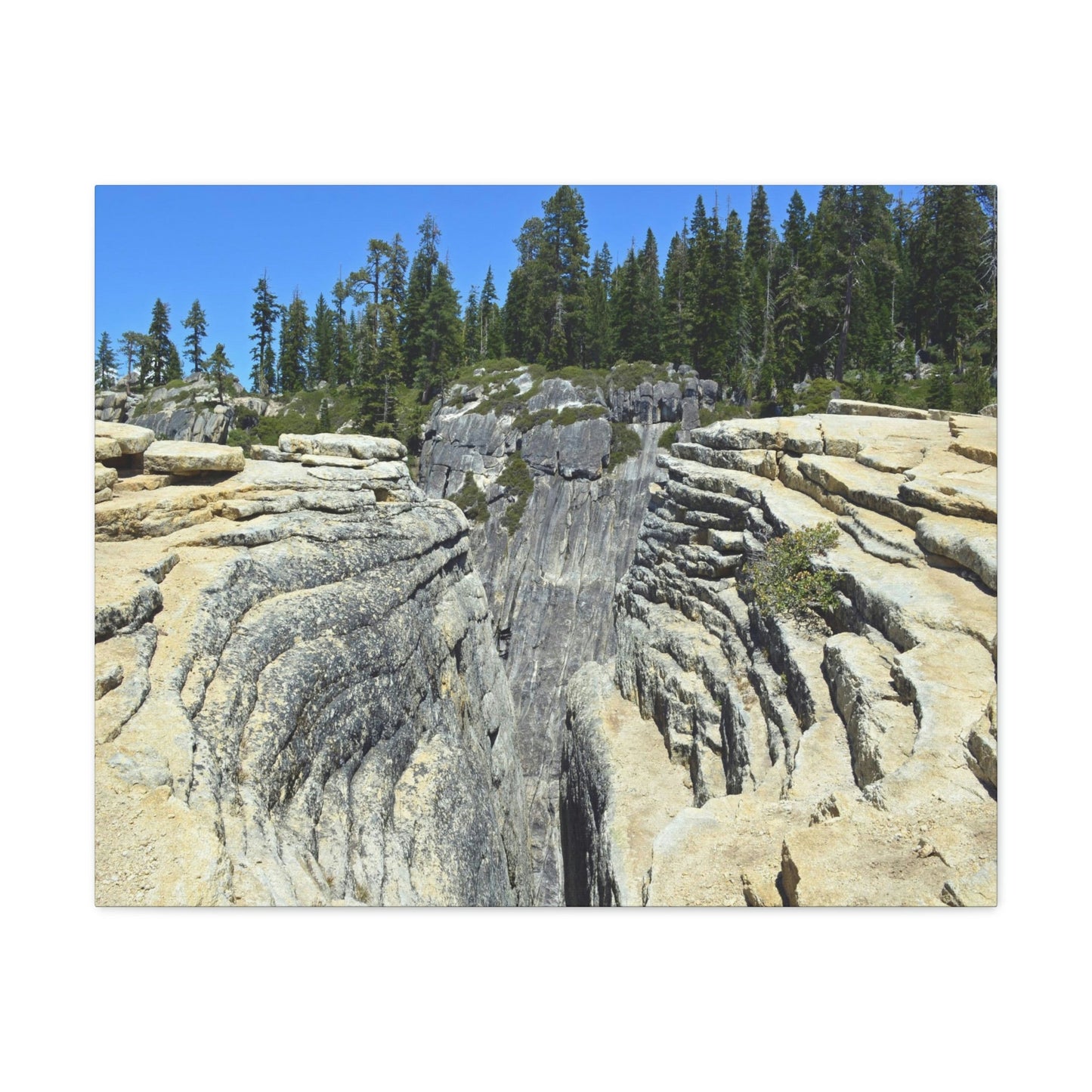 Canvas Gallery Wraps - The US National Parks - Yosemite Park Taft Point fissures - California - USA NPS - Green Forest Home