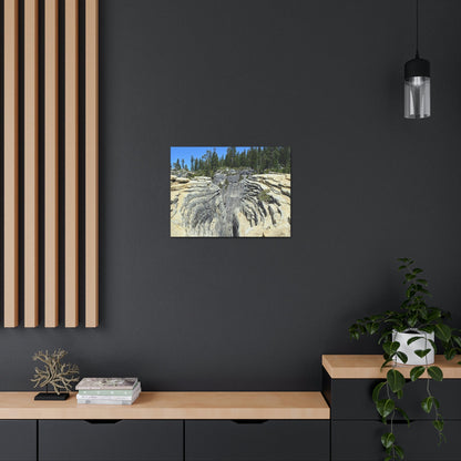Canvas Gallery Wraps - The US National Parks - Yosemite Park Taft Point fissures - California - USA NPS - Green Forest Home