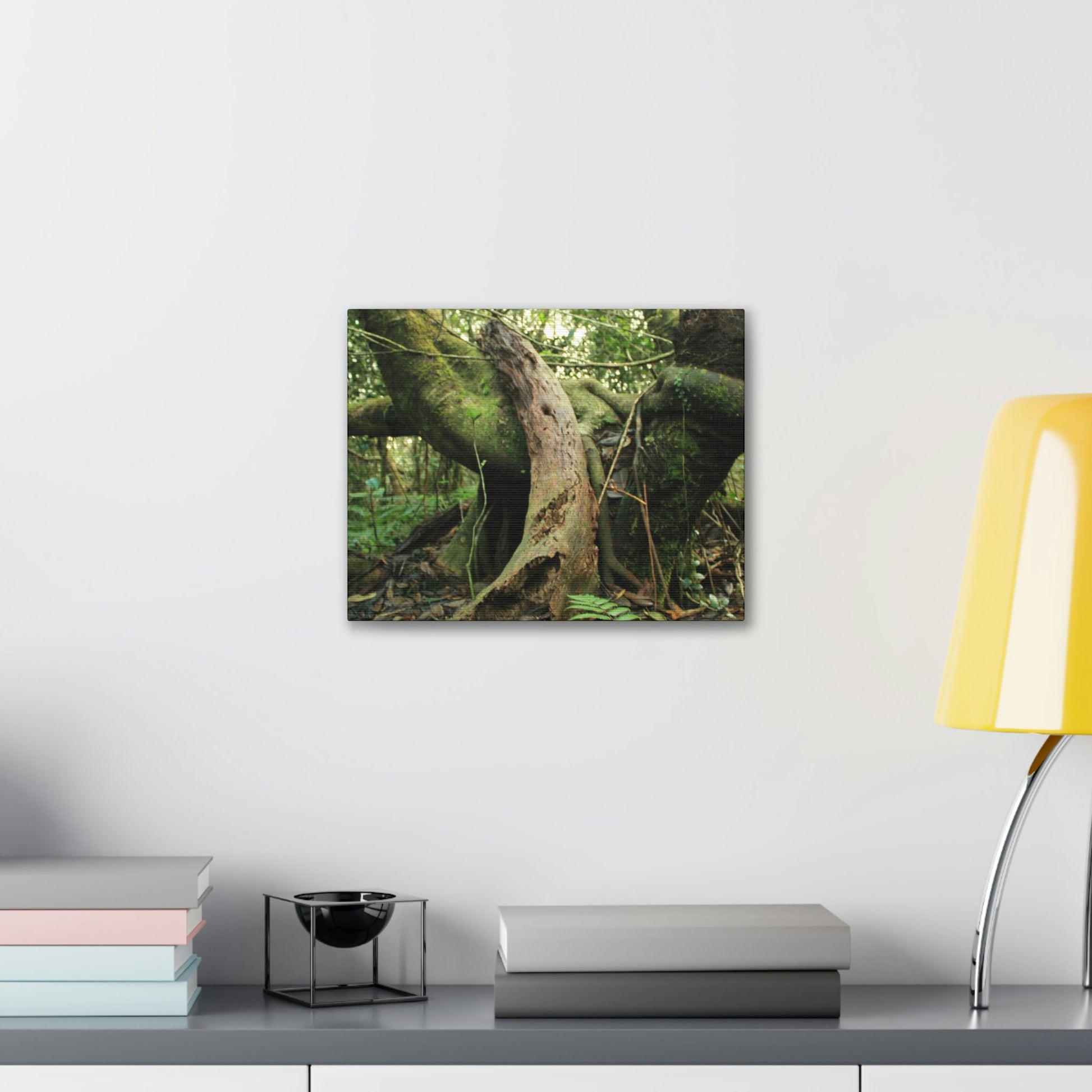 Canvas Gallery Wraps - US Made - 14 km Tradewinds Trail - El Yunque rainforest PR exploration on 2013-02-01 - Old Pal rests on tree while it holds on another decaying tree as base - the cloud forest - before Maria - Green Forest Home