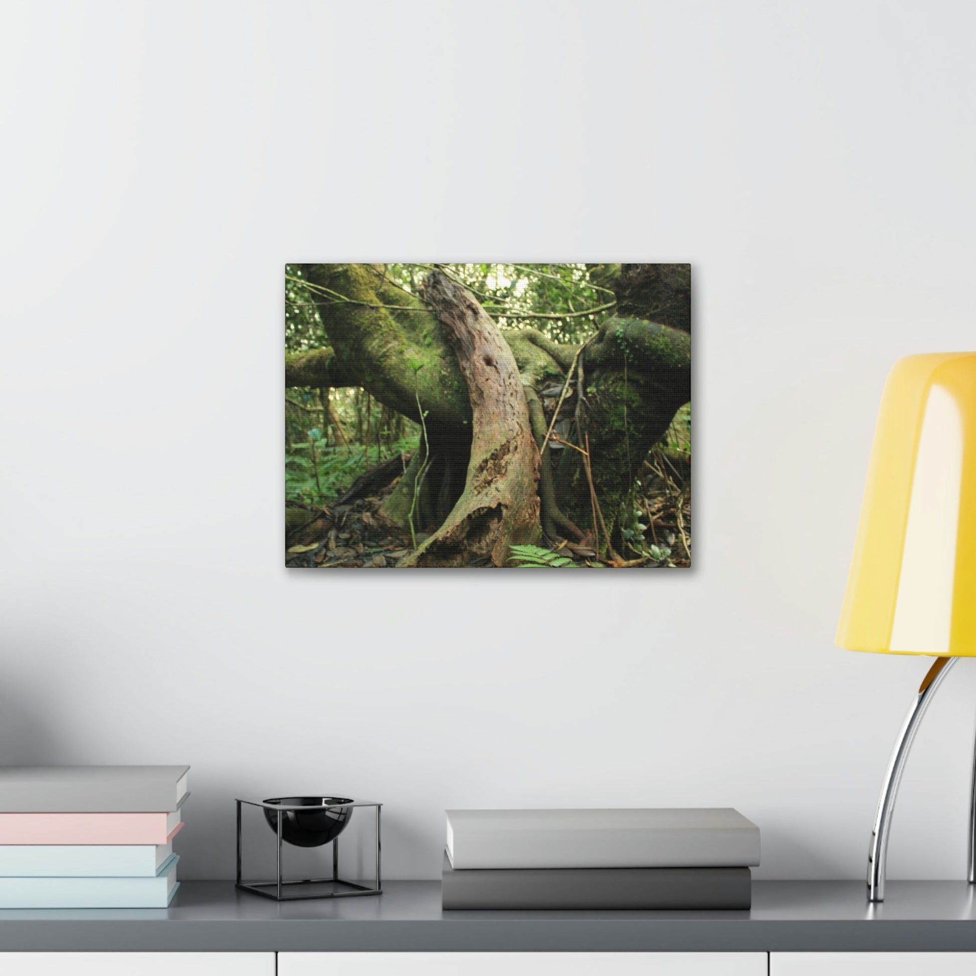Canvas Gallery Wraps - US Made - 14 km Tradewinds Trail - El Yunque rainforest PR exploration on 2013-02-01 - Old Pal rests on tree while it holds on another decaying tree as base - the cloud forest - before Maria - Green Forest Home