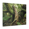 Canvas Gallery Wraps - US Made - 14 km Tradewinds Trail - El Yunque rainforest PR exploration on 2013-02-01 - Old Pal rests on tree while it holds on another decaying tree as base - the cloud forest - before Maria - Green Forest Home