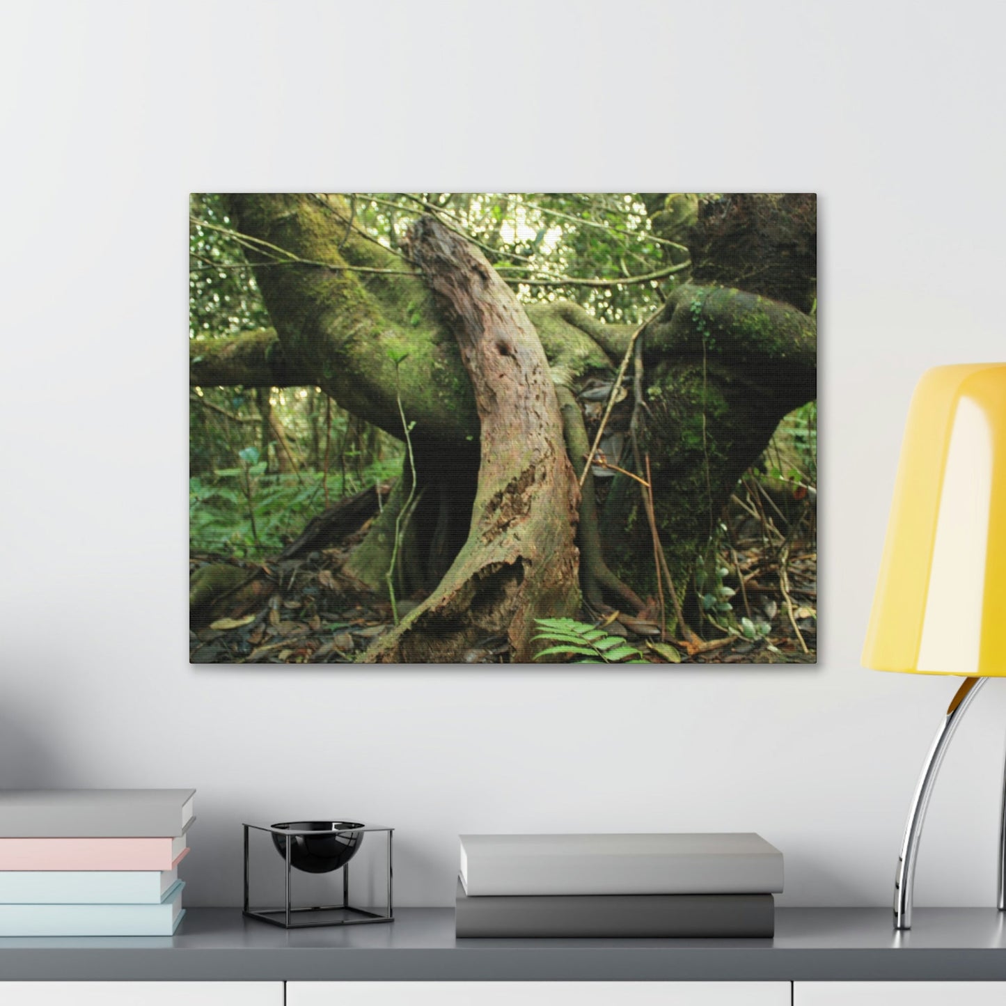 Canvas Gallery Wraps - US Made - 14 km Tradewinds Trail - El Yunque rainforest PR exploration on 2013-02-01 - Old Pal rests on tree while it holds on another decaying tree as base - the cloud forest - before Maria - Green Forest Home