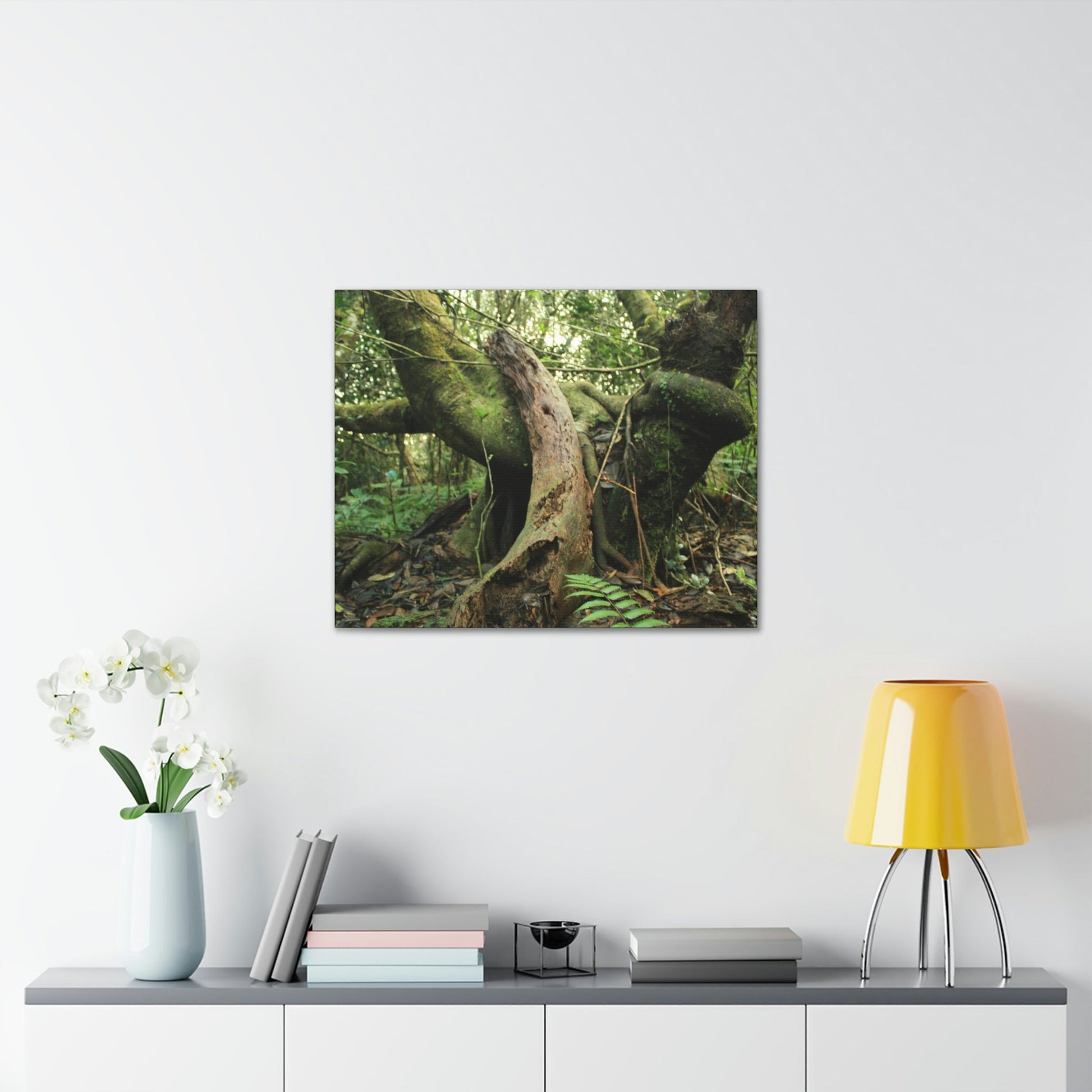 Canvas Gallery Wraps - US Made - 14 km Tradewinds Trail - El Yunque rainforest PR exploration on 2013-02-01 - Old Pal rests on tree while it holds on another decaying tree as base - the cloud forest - before Maria - Green Forest Home