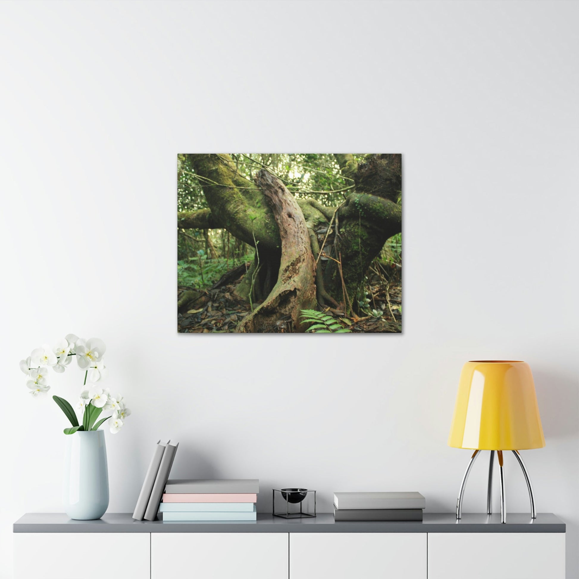 Canvas Gallery Wraps - US Made - 14 km Tradewinds Trail - El Yunque rainforest PR exploration on 2013-02-01 - Old Pal rests on tree while it holds on another decaying tree as base - the cloud forest - before Maria - Green Forest Home