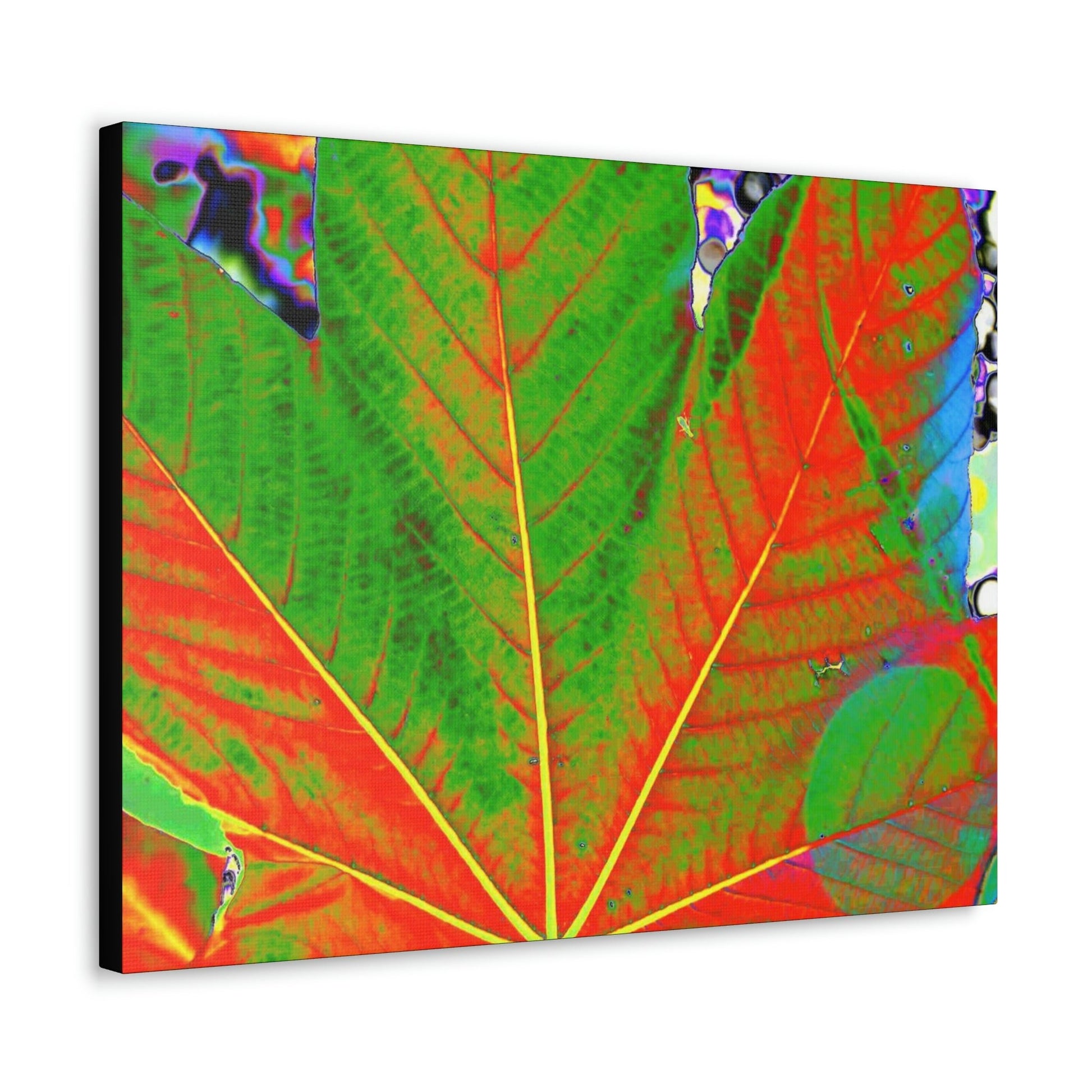 Canvas Gallery Wraps - USA MADE 👨‍👩‍👧‍👧 Unique images of Yagrumo Tree & leafs from El Yunque rainforest PR - Alien 👽 Vision - Green Forest Home