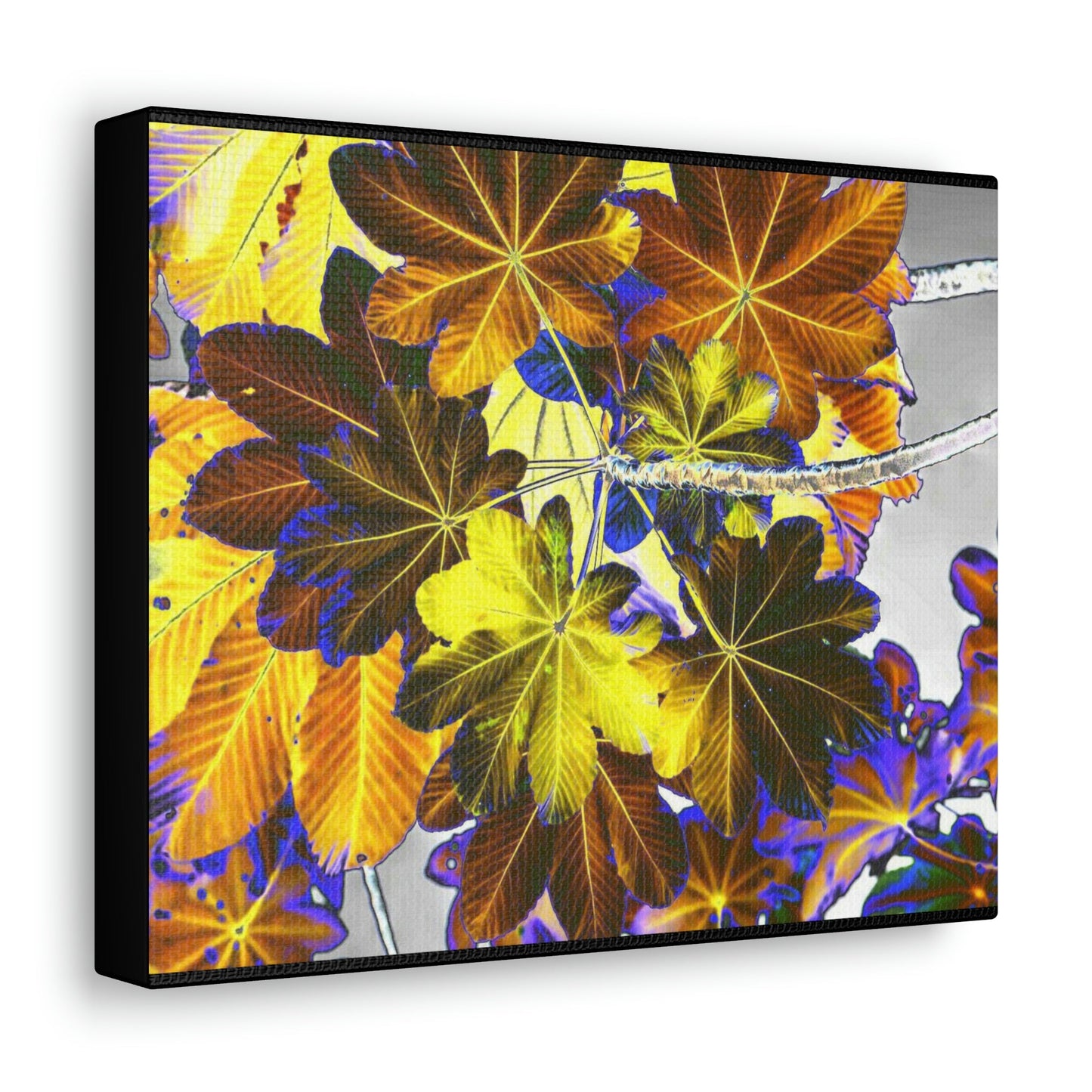 Canvas Gallery Wraps - USA MADE 👨‍👩‍👧‍👧 Unique images of Yagrumo Tree & leafs from El Yunque rainforest PR - Alien 👽 Vision - Green Forest Home