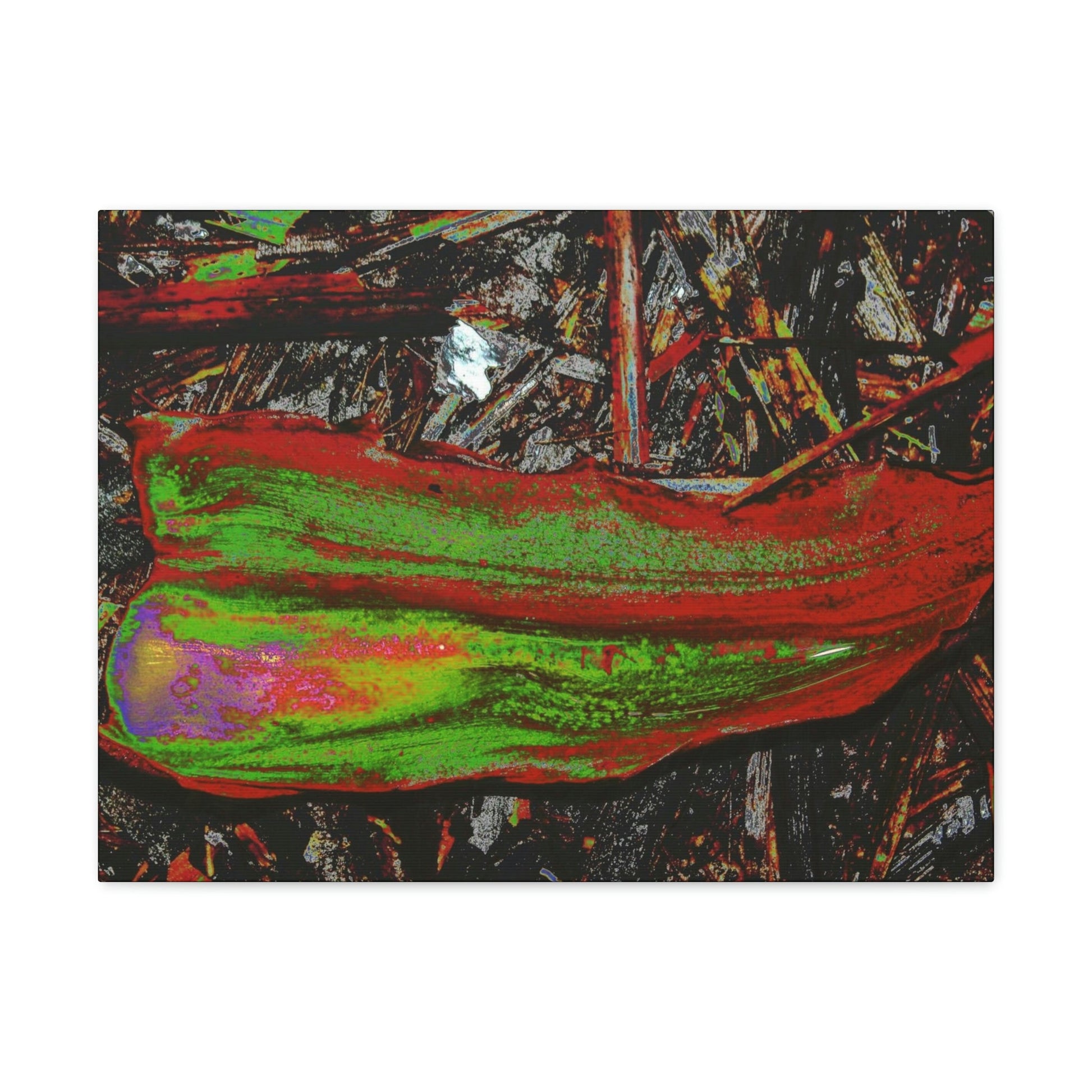 Canvas Gallery Wraps - USA MADE 👨‍👩‍👧‍👧 Unique images of Yagrumo Tree & leafs from El Yunque rainforest PR - Alien 👽 Vision - Green Forest Home