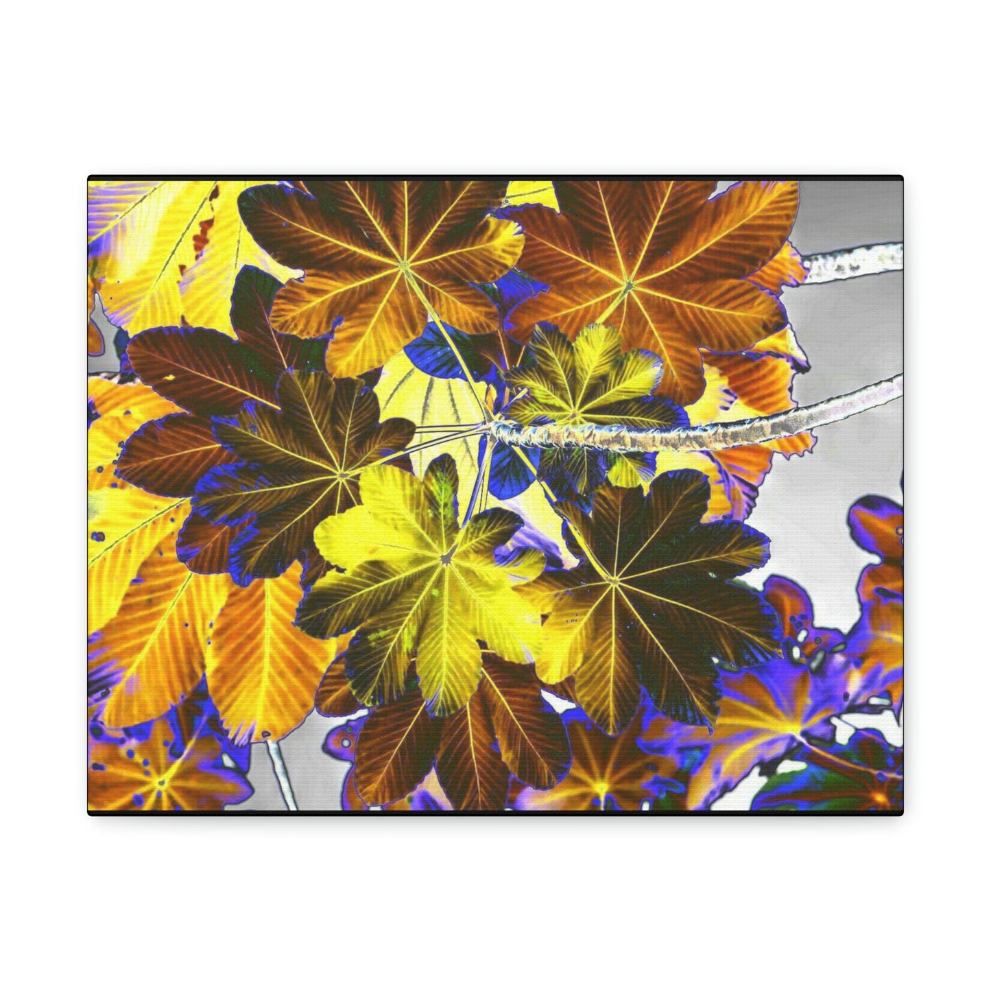 Canvas Gallery Wraps - USA MADE 👨‍👩‍👧‍👧 Unique images of Yagrumo Tree & leafs from El Yunque rainforest PR - Alien 👽 Vision - Green Forest Home