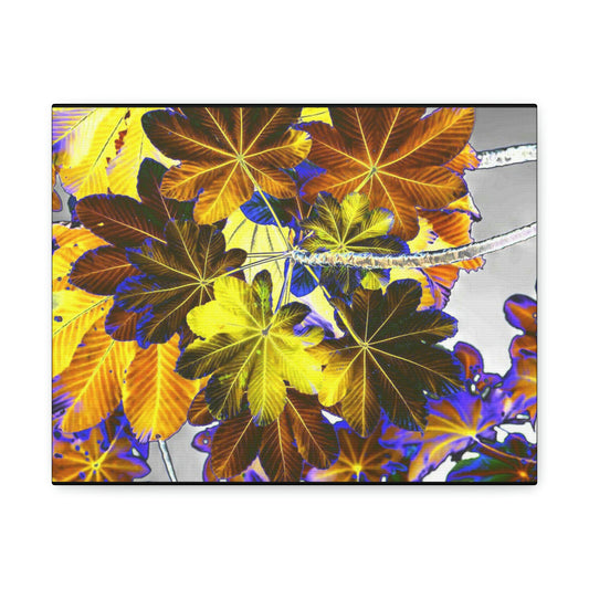 Canvas Gallery Wraps - USA MADE 👨‍👩‍👧‍👧 Unique images of Yagrumo Tree & leafs from El Yunque rainforest PR - Alien 👽 Vision - Green Forest Home
