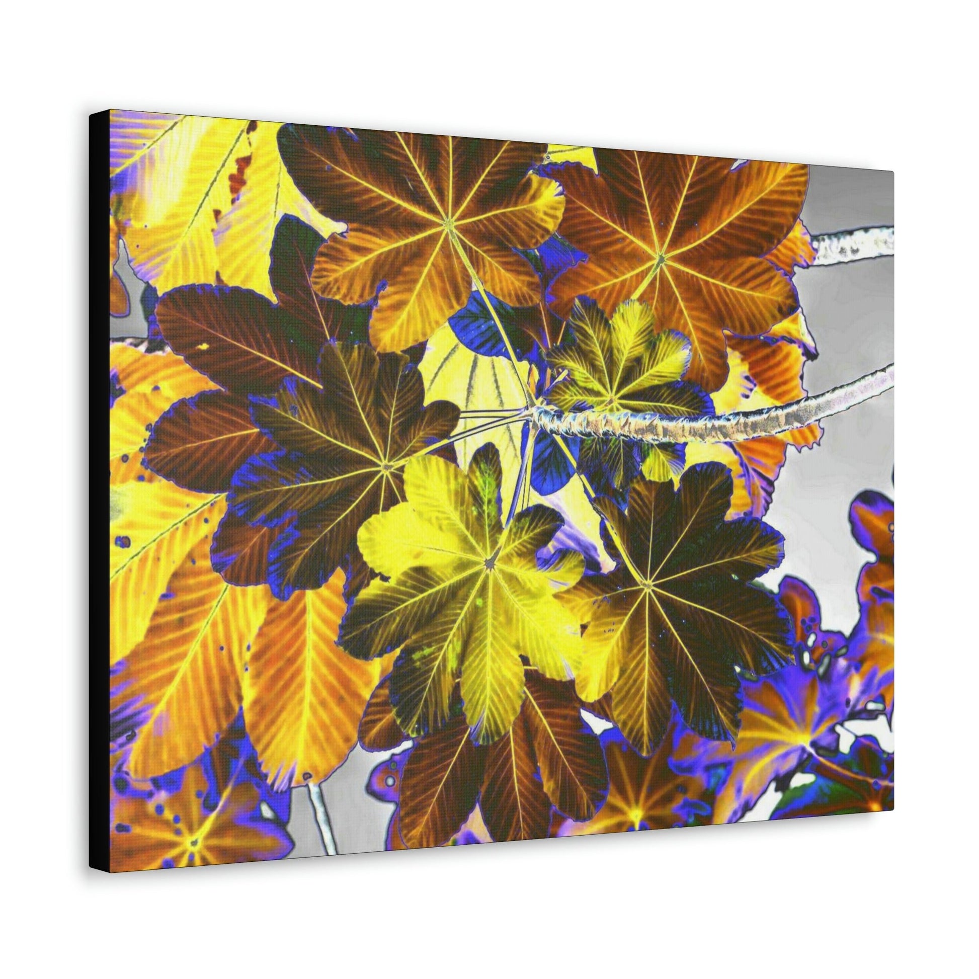 Canvas Gallery Wraps - USA MADE 👨‍👩‍👧‍👧 Unique images of Yagrumo Tree & leafs from El Yunque rainforest PR - Alien 👽 Vision - Green Forest Home