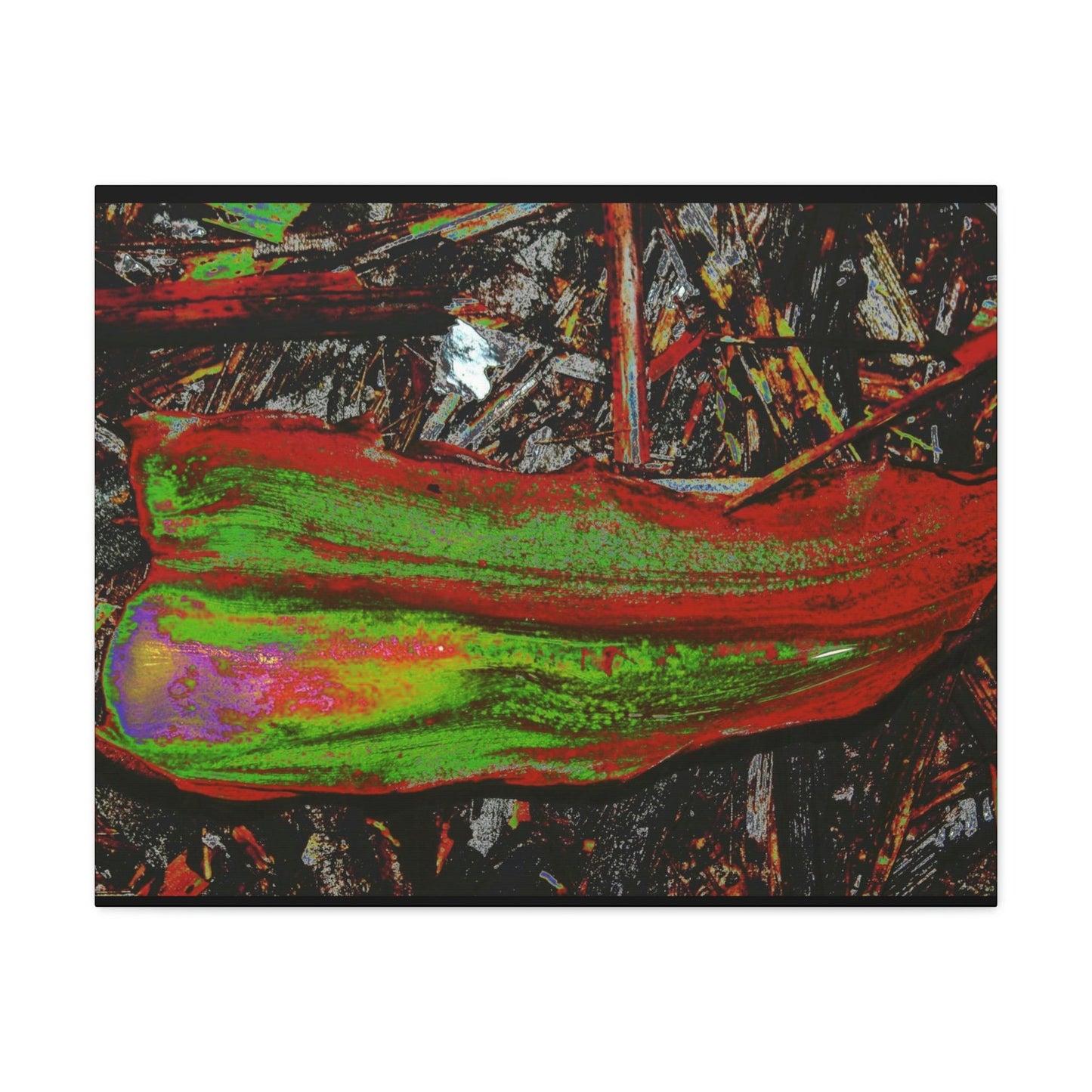 Canvas Gallery Wraps - USA MADE 👨‍👩‍👧‍👧 Unique images of Yagrumo Tree & leafs from El Yunque rainforest PR - Alien 👽 Vision - Green Forest Home