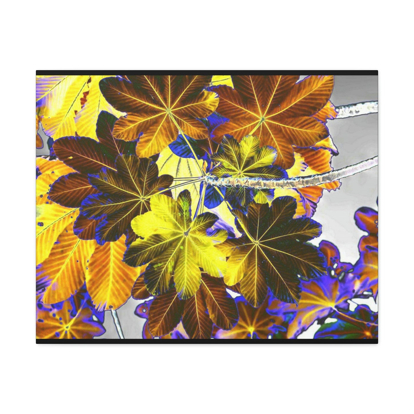 Canvas Gallery Wraps - USA MADE 👨‍👩‍👧‍👧 Unique images of Yagrumo Tree & leafs from El Yunque rainforest PR - Alien 👽 Vision - Green Forest Home