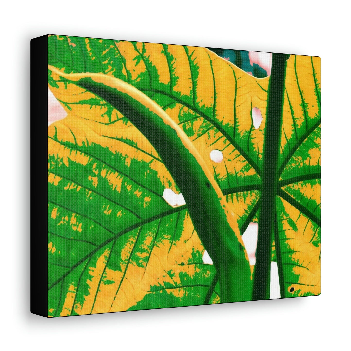 Canvas Gallery Wraps - USA MADE 👨‍👩‍👧‍👧 Unique images of Yagrumo Tree & leafs from El Yunque rainforest PR - Alien 👽 Vision - Green Forest Home