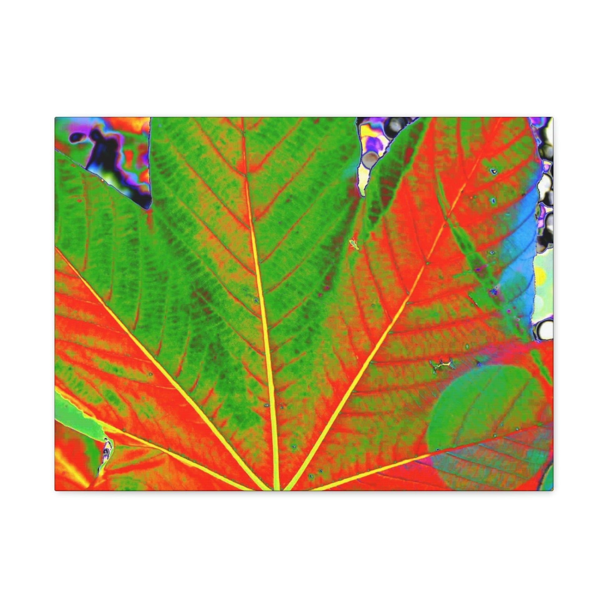 Canvas Gallery Wraps - USA MADE 👨‍👩‍👧‍👧 Unique images of Yagrumo Tree & leafs from El Yunque rainforest PR - Alien 👽 Vision - Green Forest Home