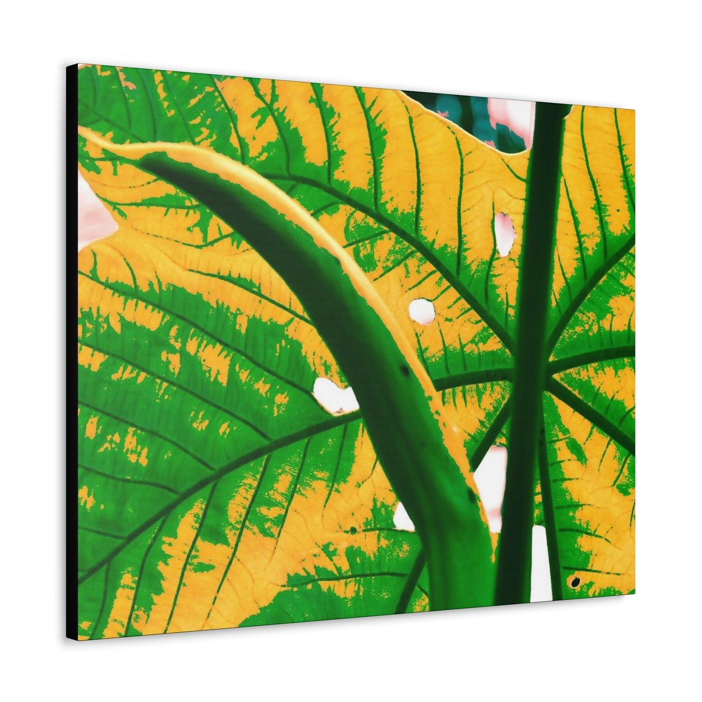 Canvas Gallery Wraps - USA MADE 👨‍👩‍👧‍👧 Unique images of Yagrumo Tree & leafs from El Yunque rainforest PR - Alien 👽 Vision - Green Forest Home
