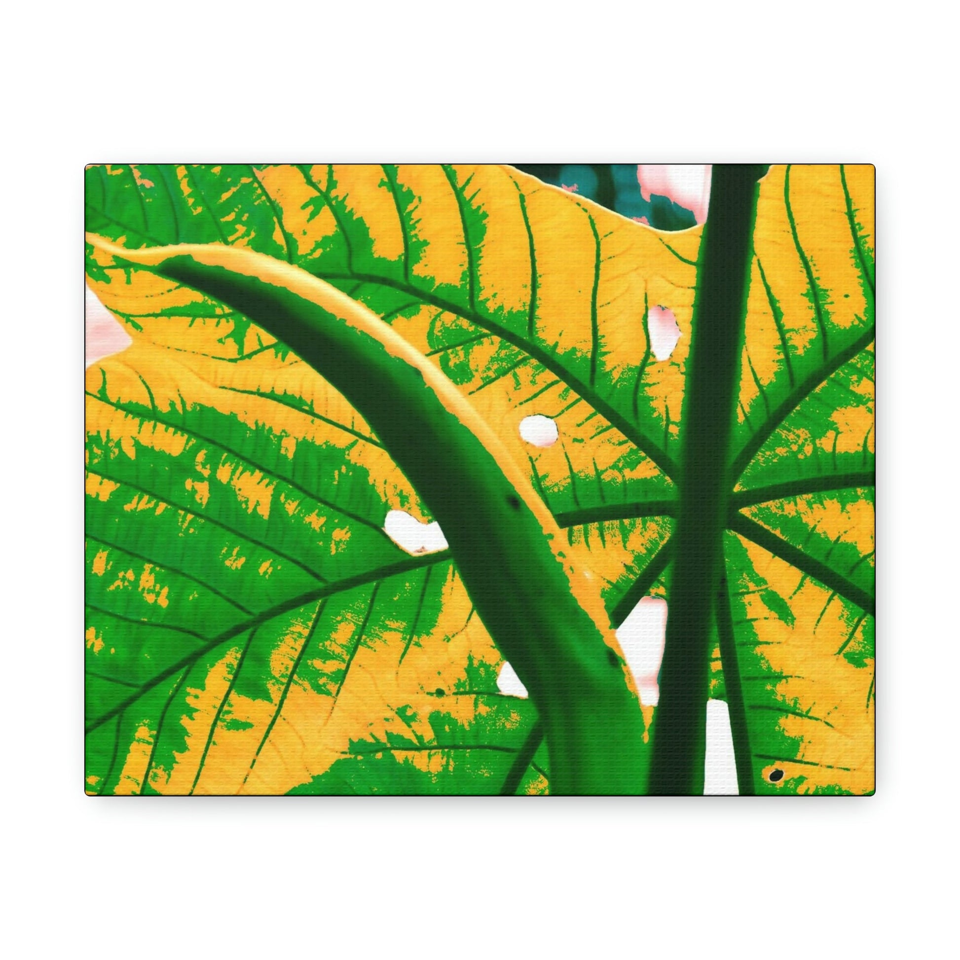 Canvas Gallery Wraps - USA MADE 👨‍👩‍👧‍👧 Unique images of Yagrumo Tree & leafs from El Yunque rainforest PR - Alien 👽 Vision - Green Forest Home