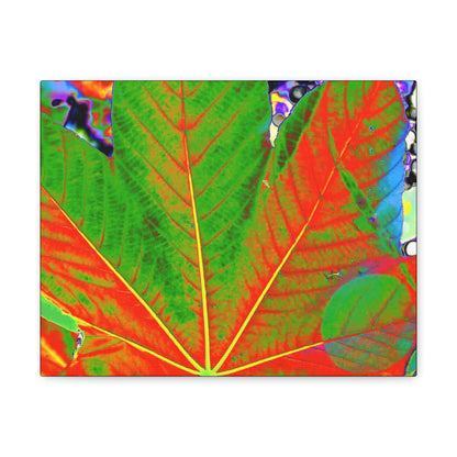 Canvas Gallery Wraps - USA MADE 👨‍👩‍👧‍👧 Unique images of Yagrumo Tree & leafs from El Yunque rainforest PR - Alien 👽 Vision - Green Forest Home