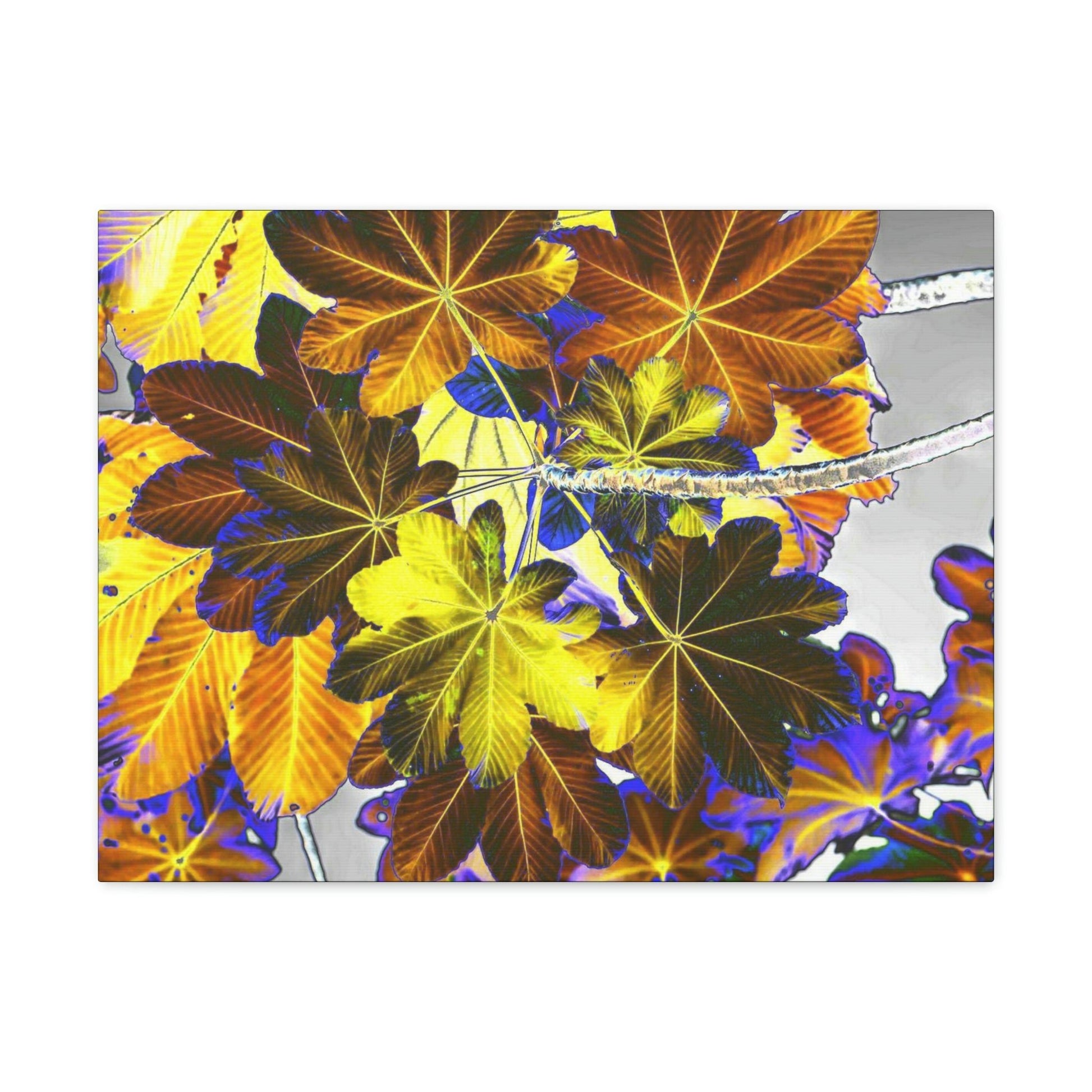 Canvas Gallery Wraps - USA MADE 👨‍👩‍👧‍👧 Unique images of Yagrumo Tree & leafs from El Yunque rainforest PR - Alien 👽 Vision - Green Forest Home