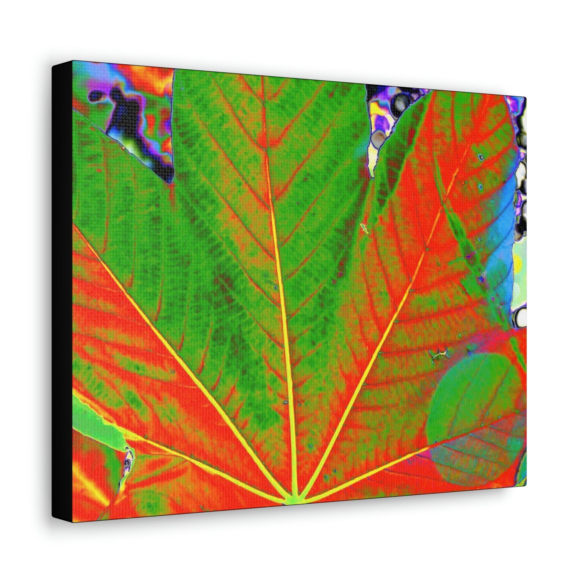 Canvas Gallery Wraps - USA MADE 👨‍👩‍👧‍👧 Unique images of Yagrumo Tree & leafs from El Yunque rainforest PR - Alien 👽 Vision - Green Forest Home