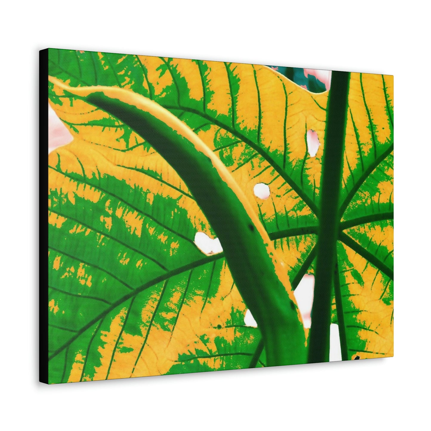 Canvas Gallery Wraps - USA MADE 👨‍👩‍👧‍👧 Unique images of Yagrumo Tree & leafs from El Yunque rainforest PR - Alien 👽 Vision - Green Forest Home