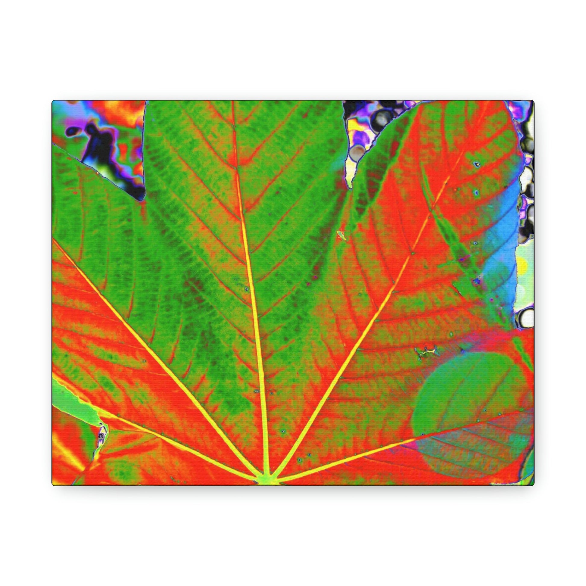 Canvas Gallery Wraps - USA MADE 👨‍👩‍👧‍👧 Unique images of Yagrumo Tree & leafs from El Yunque rainforest PR - Alien 👽 Vision - Green Forest Home